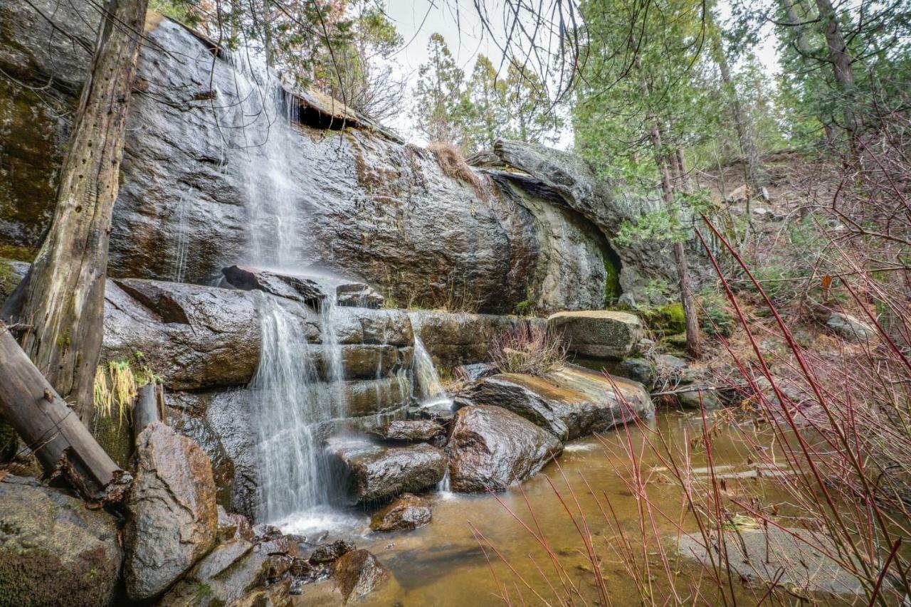 Forest Falls Шейвер Лейк Экстерьер фото